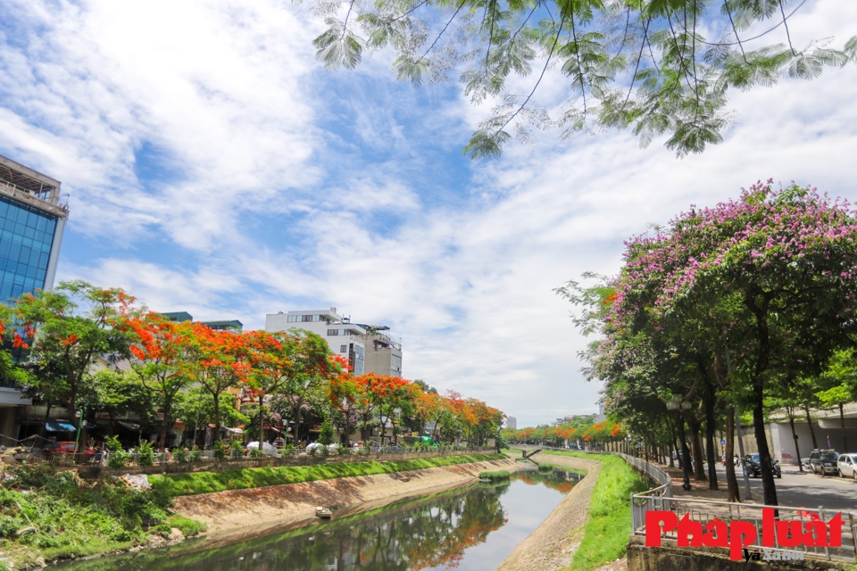 M&agrave;u đỏ của hoa phượng v&agrave; m&agrave;u t&iacute;m của hoa bằng lăng c&ograve;n lại khiến d&ograve;ng s&ocirc;ng trở n&ecirc;n thơ mộng hơn v&agrave;o những ng&agrave;y cuối th&aacute;ng 5.