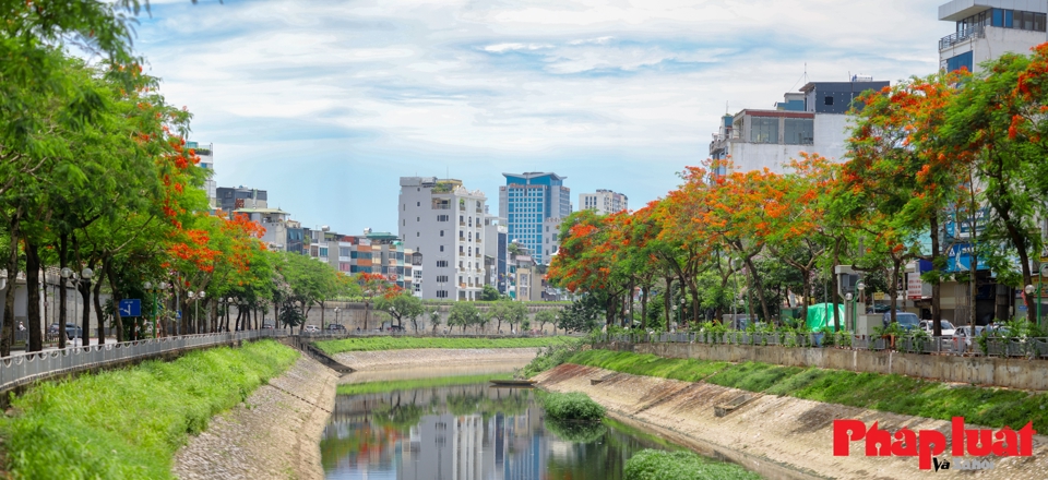 Nh&igrave;n từ xa, m&agrave;u đỏ rực của hoa phượng bao tr&ugrave;m khắp hai b&ecirc;n bờ s&ocirc;ng.