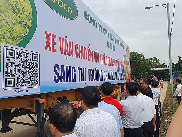 Những chuyến xe khởi h&agrave;nh đưa vải thiều sớm đến c&aacute;c thị trường ti&ecirc;u thụ. Ảnh: Ho&agrave;ng Văn. &nbsp;