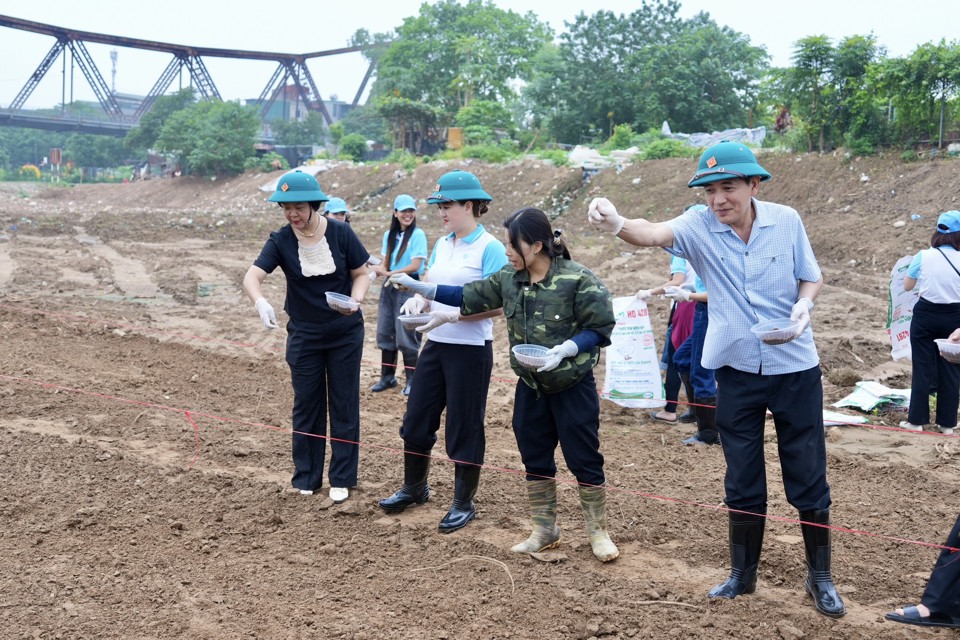 B&iacute; thư Quận uỷ Ho&agrave;ng Minh Dũng Tiến c&ugrave;ng c&aacute;c đại biểu v&agrave; c&aacute;n bộ Hội LHPN gieo mầm&nbsp;trồng hoa phủ xanh bờ vở s&ocirc;ng Hồng.