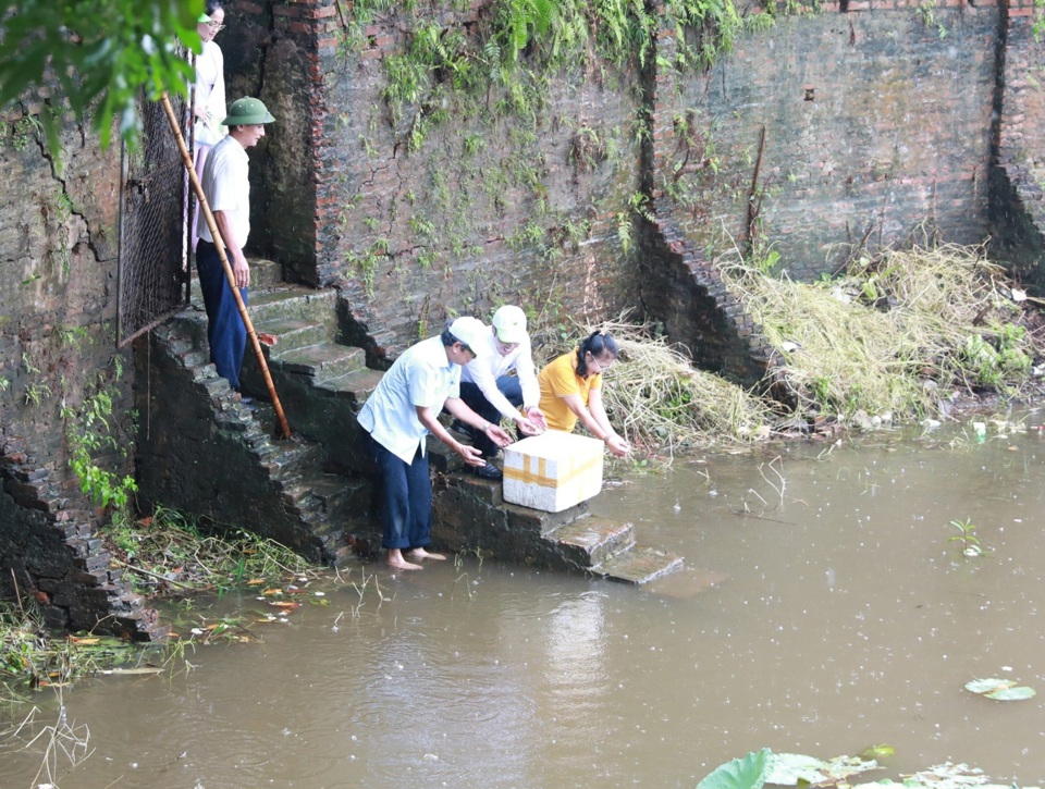 L&atilde;nh đạo Ủy ban Mặt trận Tổ quốc Việt Nam TP H&agrave; Nội v&agrave; c&aacute;c đại biểu tham gia hoạt động thả cả, g&oacute;p phần bảo vệ m&ocirc;i trường