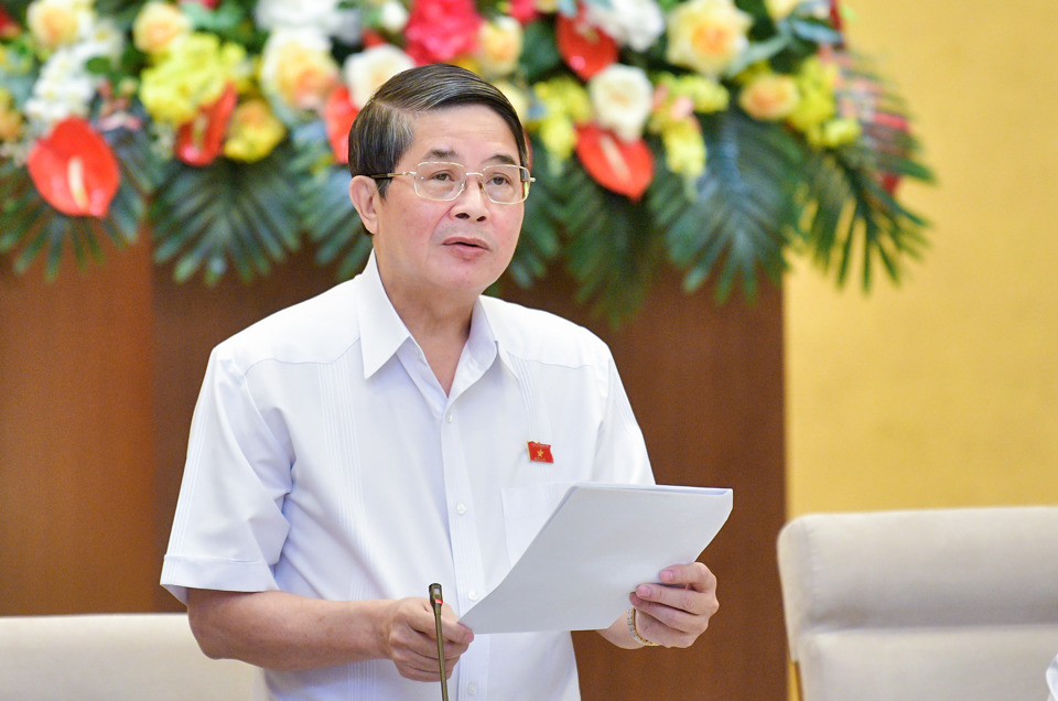 Ph&oacute; Chủ tịch Quốc hội Nguyễn Đức Hải kết luận nội dung họp