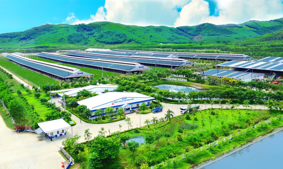 Lượng carbon trung h&ograve;a của trang trại Green Farm tương đương 30.000 s&acirc;n b&oacute;ng phủ đầy c&acirc;y xanh, lượng nước tuần ho&agrave;n tương đương 86 hồ bơi Olympic&hellip;