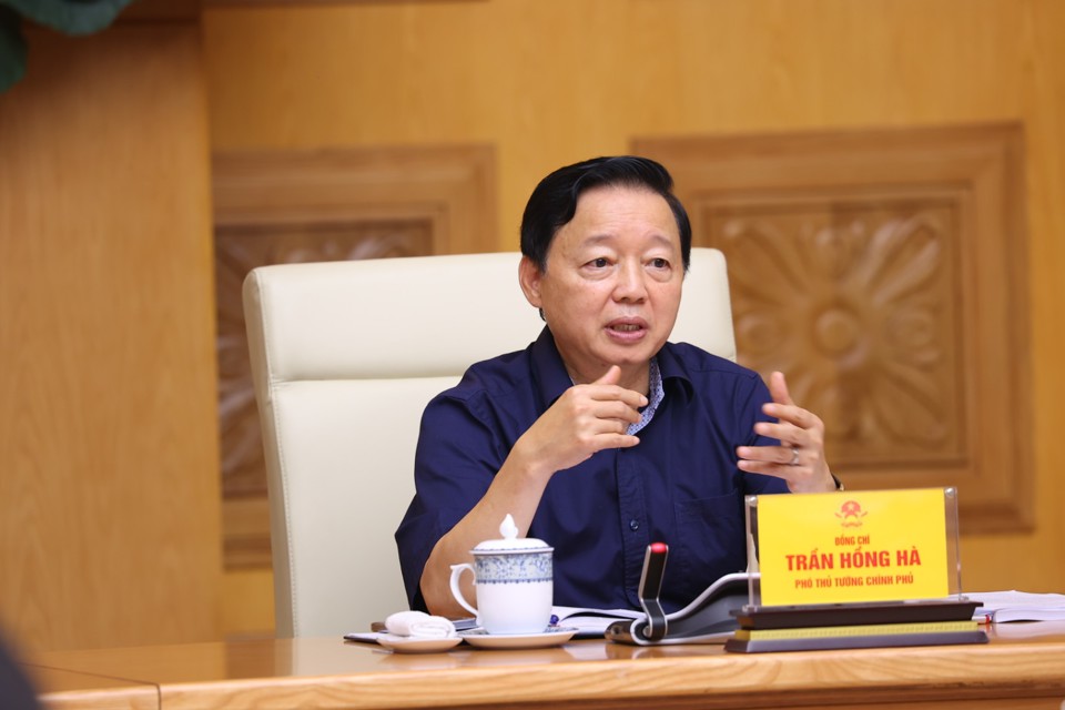 Ph&oacute; Thủ tướng Trần Hồng H&agrave; ph&aacute;t biểu tại cuộc họp. Ảnh: VGP