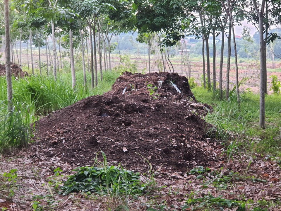 Nh&igrave;n giống những đống đất trộn lẫn tro, nhưng đ&acirc;y l&agrave; r&aacute;c thải c&ocirc;ng nghiệp trong nh&agrave; m&aacute;y thuộc KCN Nam Đồng Ph&uacute; được l&eacute;n chở đổ ra m&ocirc;i trường. Ảnh: L&acirc;m Thiện.