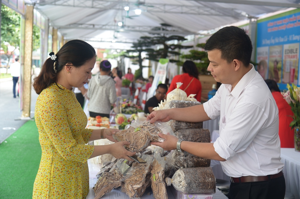 Ngườitiêu dùng chọn mua hàng tại hội chợ được tổ chức ở huyện Đông Anh. Ảnh: Phạm Hùng