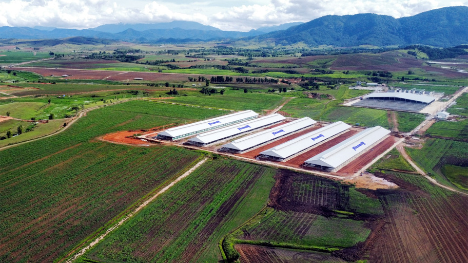 Trang trại Vinamilk L&agrave;o-Jagro tại cao nguy&ecirc;n Xiengkhuang (L&agrave;o) c&oacute; tổng mức đầu tư giai đoạn một l&agrave; 150 triệu USD.