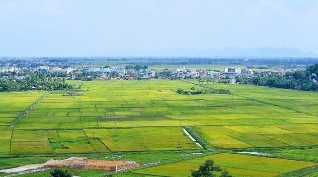 Ph&oacute; Thủ tướng Trần Hồng H&agrave; y&ecirc;u cầu ho&agrave;n thiện 4 dự thảo Nghị định quy định về đất đai.