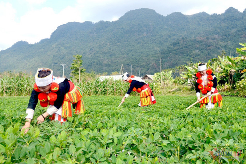 Một g&oacute;c v&ugrave;ng đồng b&agrave;o d&acirc;n tộc thiểu số huyện Ba V&igrave; (H&agrave; Nội). Ảnh minh hoạ