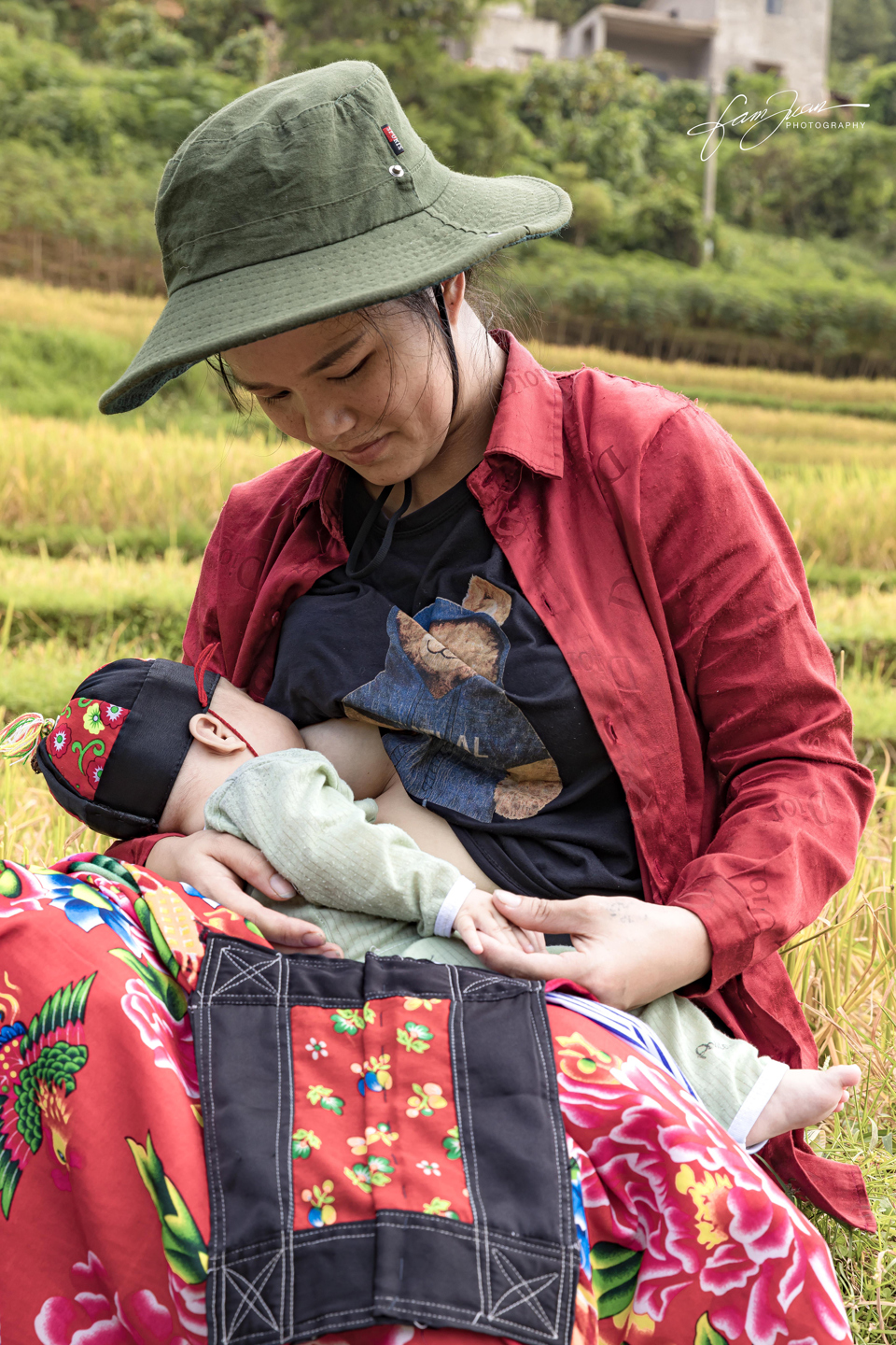 T&aacute;c phẩm &ldquo;Ngọt ng&agrave;o hương l&uacute;a&rdquo; của t&aacute;c giả Phạm Minh Tuấn đạt giải nhiều lượt b&igrave;nh chọn nhất.