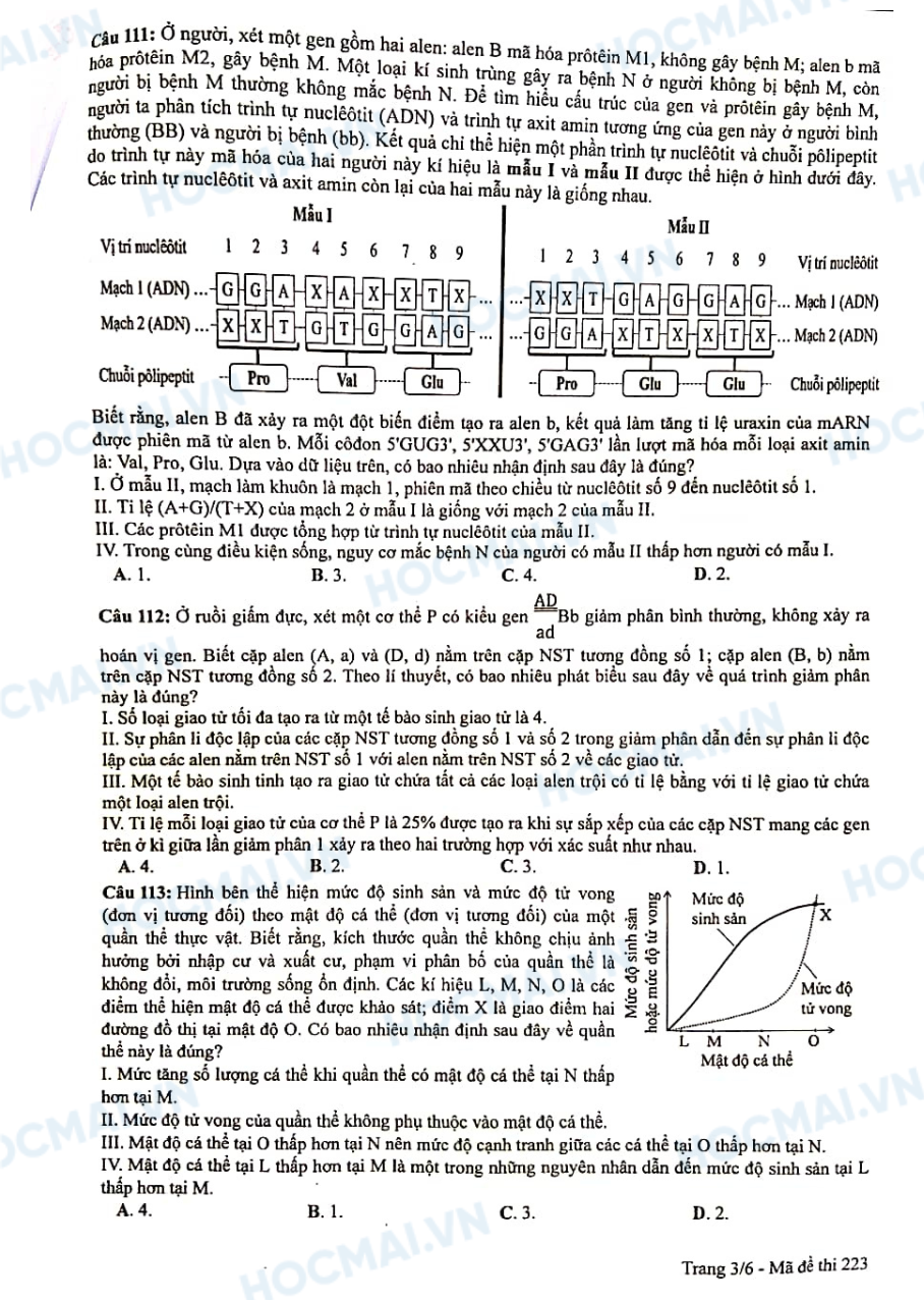 Nhận định và gợi ý đáp án môn sinh học– kỳ thi tốt nghiệp THPT 2024 - Ảnh 3