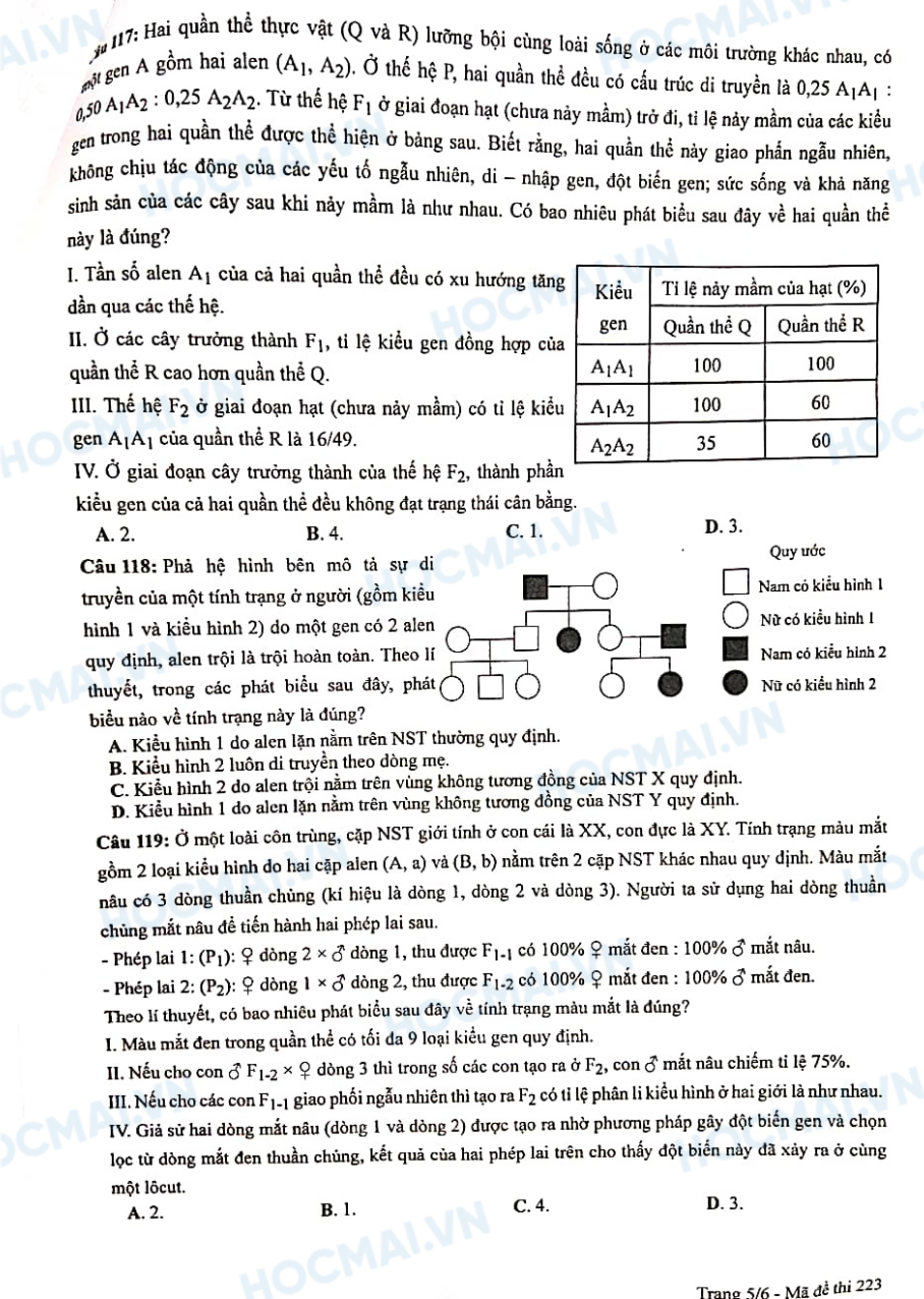 Nhận định và gợi ý đáp án môn sinh học– kỳ thi tốt nghiệp THPT 2024 - Ảnh 5