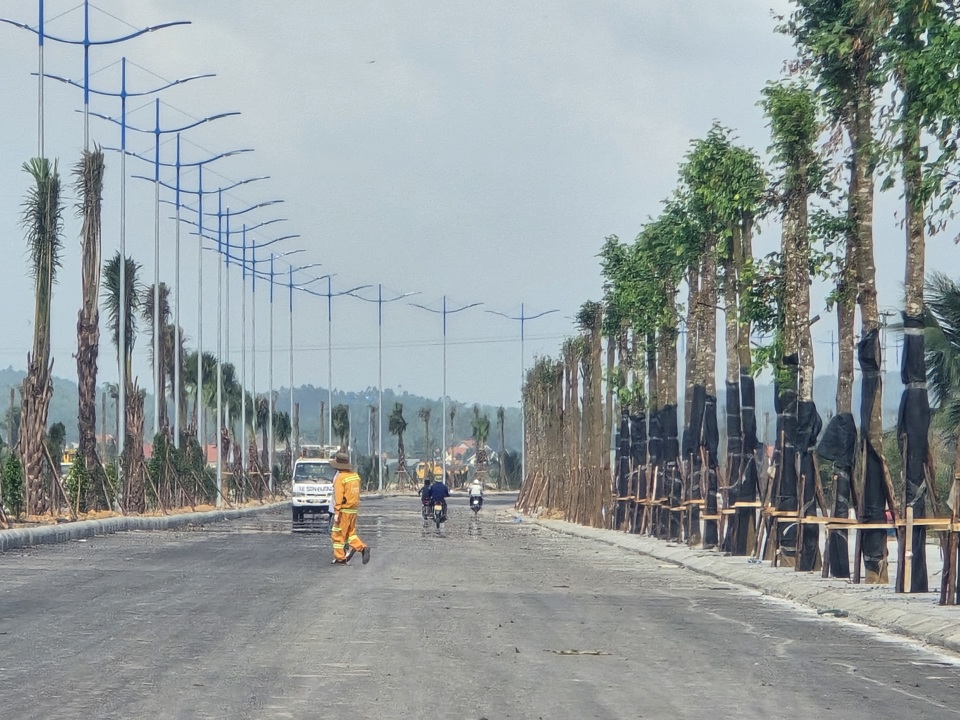 Hạng mục c&acirc;y xanh tại đường dẫn cầu Bến Rừng đ&atilde; được nh&agrave; thầu trồng xong. Ảnh: Vĩnh Qu&acirc;n