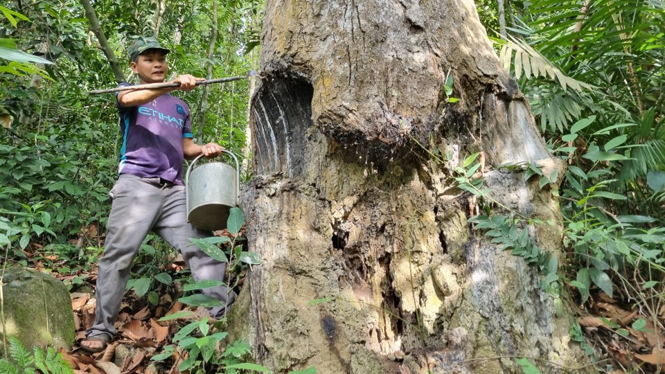 Anh Cao Thanh H&agrave; l&agrave; người cuối c&ugrave;ng l&agrave;m nghề khai th&aacute;c dầu r&aacute;i.