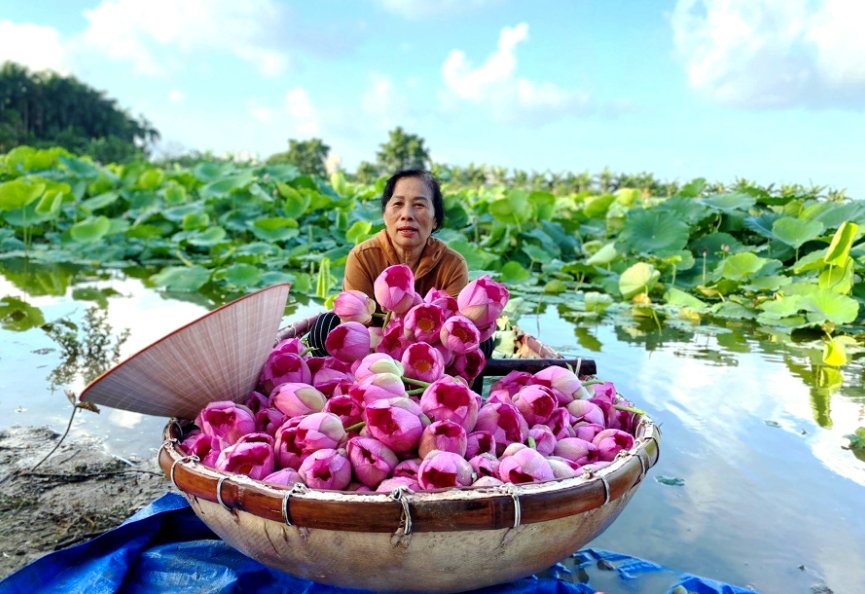 Nhiều hoạt động đặc sắc tại Lễ hội Sen Hà Nội. Ảnh: Duy Anh