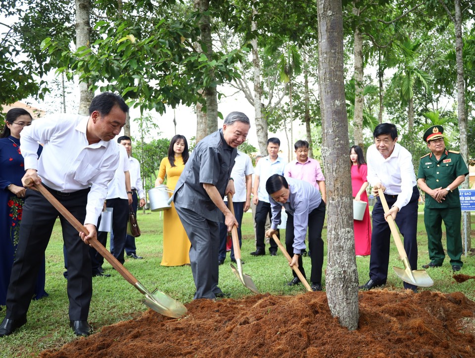 Chủ tịch nước T&ocirc; L&acirc;m trồng c&acirc;y tại Khu lưu niệm Chủ tịch Hội đồng Bộ trưởng Phạm H&ugrave;ng.