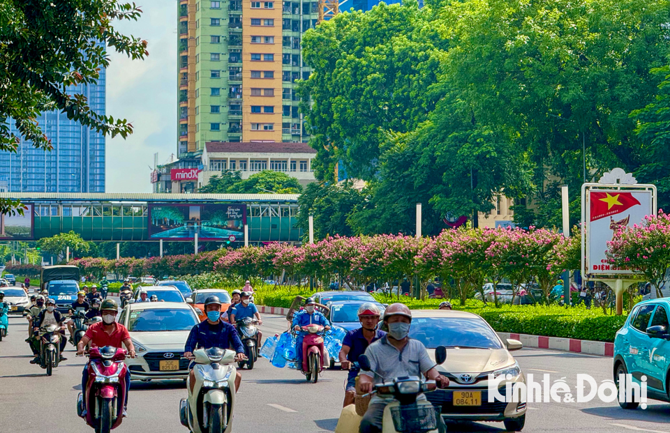 Dọc tuyến đường Trần Duy Hưng - Nguyễn Ch&iacute; Thanh (TP H&agrave; Nội), hoa tường vi nở rộ tr&ecirc;n dải ph&acirc;n c&aacute;ch, tạo n&ecirc;n cảnh sắc rực rỡ.