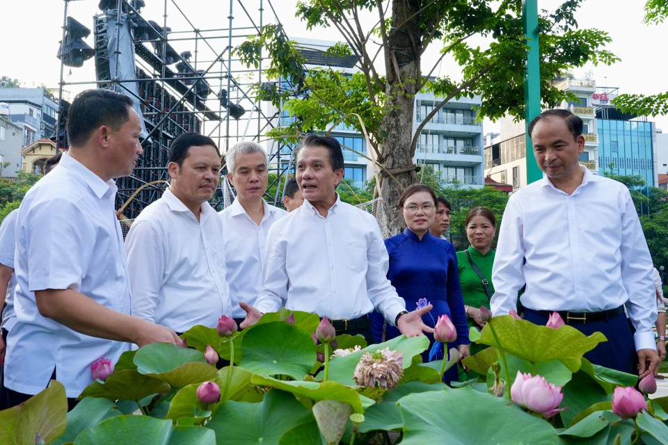 C&aacute;c đại biểu tham quan c&aacute;c ang sen của &nbsp;những chủ hồ được trung b&agrave;y tại lễ hội. &nbsp;