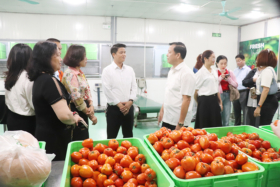 Kiểm tra an to&agrave;n thực phẩm tại huyện Thanh Tr&igrave;.