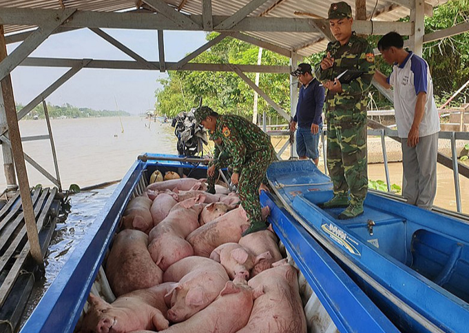 Gi&aacute; heo hơi h&ocirc;m nay 13/7/2024: giảm nhẹ 1.000 đồng/kg tr&ecirc;n cả 3 miền. Ảnh minh họa.