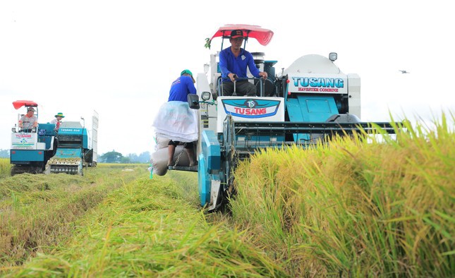 TS Nguyễn Văn H&ugrave;ng, chuy&ecirc;n gia cao cấp của&nbsp;Viện Nghi&ecirc;n cứu l&uacute;a gạo quốc tế&nbsp;(IRRI) cho biết, về hiệu quả kinh tế, l&uacute;a thực hiện đề &aacute;n tăng lợi nhuận r&ograve;ng từ 1,3 - 6,2 triệu đồng/ha. Ảnh CK