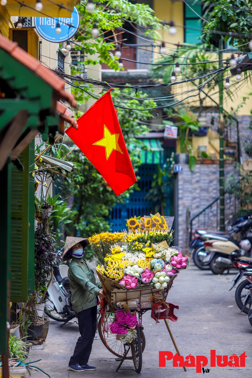 Những g&aacute;nh h&agrave;ng hoa rong lu&ocirc;n l&agrave; một điểm nhấn tạo vẻ đẹp ri&ecirc;ng của đường phố H&agrave; Nội. M&ugrave;a n&agrave;o hoa nấy, th&aacute;ng 6-7, hoa sen l&agrave; một m&ugrave;a hoa đẹp của H&agrave; Nội. &nbsp;