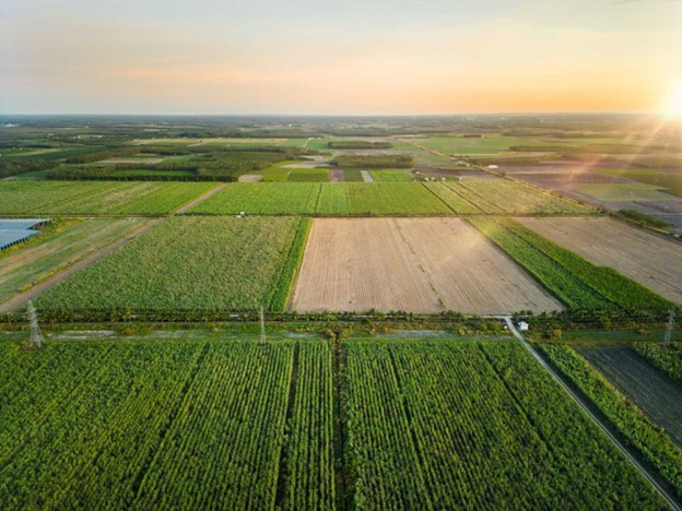 TTC AgriS hiện đang đứng đầu cả nước về quy m&ocirc; v&ugrave;ng nguy&ecirc;n liệu xuy&ecirc;n bi&ecirc;n giới, với tổng diện t&iacute;ch đạt hơn 71.000 ha ở 4 nước Việt Nam, L&agrave;o, Campuchia v&agrave; &Uacute;c, tự chủ về năng lực sản xuất sản phẩm hữu cơ