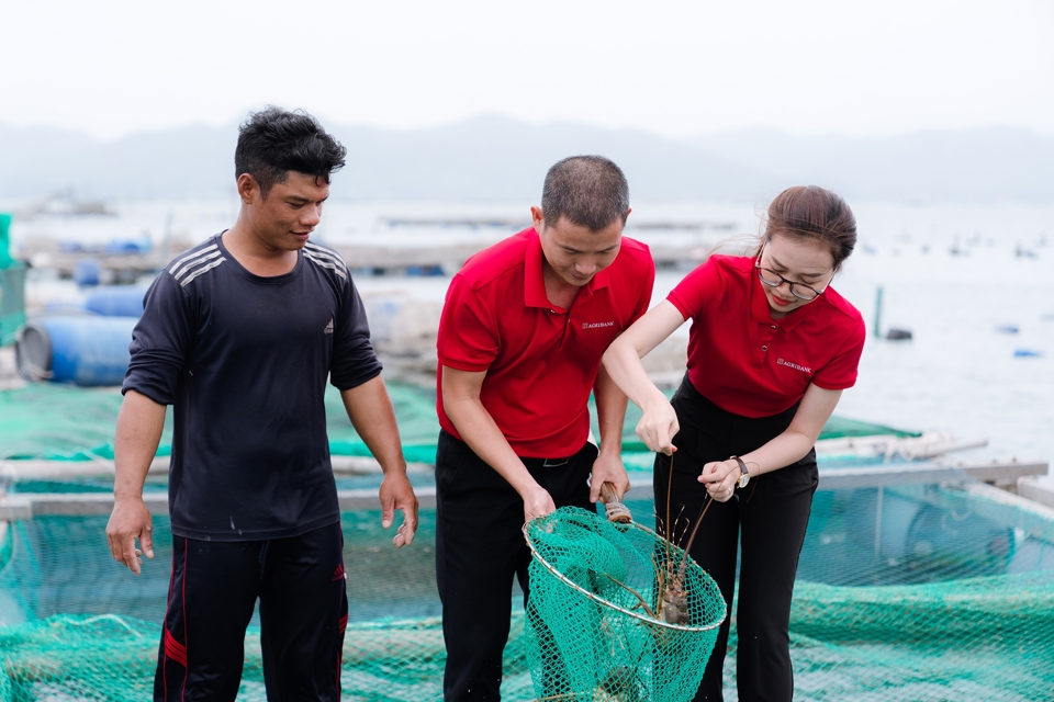 Agribank đang chủ động d&agrave;nh khoảng 250.000 tỷ đồng để triển khai c&aacute;c chương tr&igrave;nh t&iacute;n dụng ưu đ&atilde;i l&atilde;i suất tới nhiều đối tượng kh&aacute;ch h&agrave;ng.