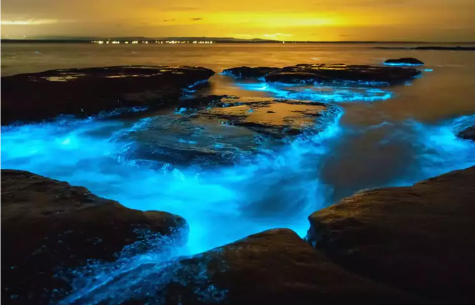 Hiện tượng ph&aacute;t quang sinh học xuất hiện tại&nbsp;Vịnh Mosquito ở Puerto Rico hay Đảo Vaadhoo ở Maldives. Ảnh: Getty image