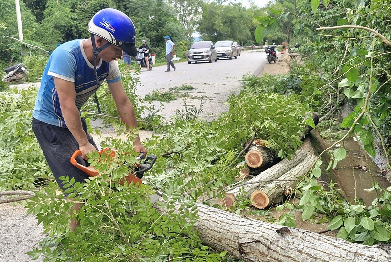 C&aacute;c lực lượng tập trung chặt bỏ c&acirc;y cối trồng vi phạm h&agrave;nh lang an to&agrave;n giao th&ocirc;ng đường Hồ Ch&iacute; Minh&nbsp;