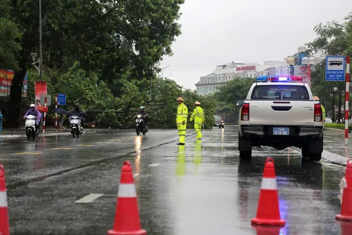 Lực lượng CSGT ph&acirc;n luồng, điều tiết giao th&ocirc;ng tr&ecirc;n đoạn đường c&oacute; c&acirc;y lớn bị đổ tr&ecirc;n địa b&agrave;n phường B&atilde;i Ch&aacute;y, TP Hạ Long.&nbsp;Ảnh:&nbsp;daidoanket.vn