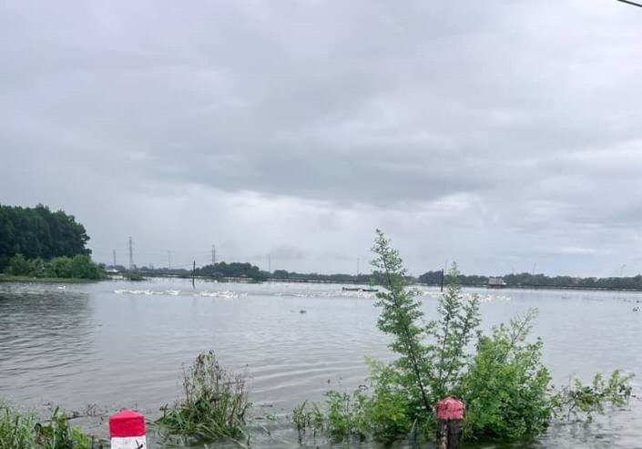 H&agrave;ng trăm ha l&uacute;a, rau m&agrave;u, c&acirc;y ăn quả tr&ecirc;n địa b&agrave;n huyện Quốc Oai bị ngập s&acirc;u trong nước.