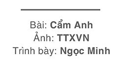 Tổng Bí thư Nguyễn Phú Trọng - người nâng tầm, phát triển "ngoại giao cây tre" - Ảnh 13