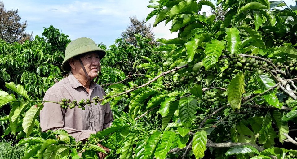 &Ocirc;ng Đ&agrave;o Xu&acirc;n Nhị vẫn lu&ocirc;n hăng say lao động sản xuất, ph&aacute;t triển kinh tế.