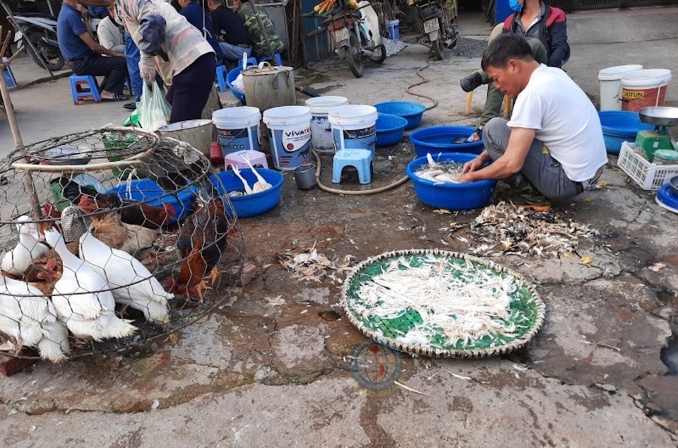 Bộ NN&amp;PTNT đề nghị H&agrave; Nội chấn chỉnh c&ocirc;ng t&aacute;c quản l&yacute; giết mổ gia cầm. Ảnh minh hoạ.