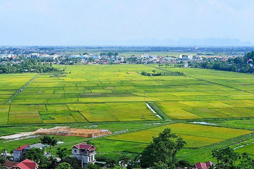 Ch&iacute;nh phủ n&ecirc;u r&otilde; ti&ecirc;u ch&iacute;, điều kiện chuyển mục đ&iacute;ch sử dụng đất trồng l&uacute;a, đất rừng ph&ograve;ng hộ, đất rừng đặc dụng, đất rừng sản xuất sang mục đ&iacute;ch kh&aacute;c