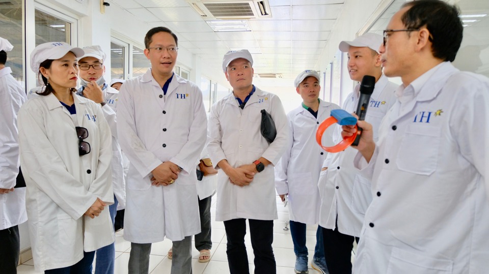 Các thành viên Câu lạc bộ CEO 1983 tham quan trang trại TH True Milk tại huyện Nghĩa Đàn (Nghệ An).