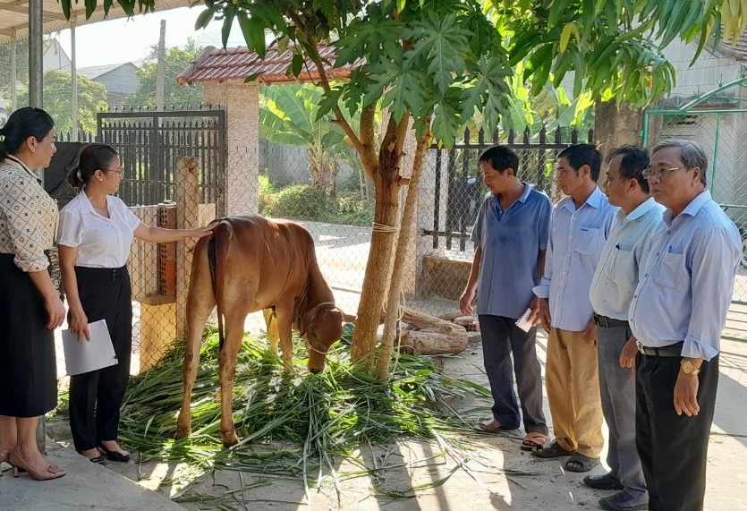 Hội N&ocirc;ng d&acirc;n x&atilde; H&agrave;nh Phước trao b&ograve; giống cho hội vi&ecirc;n l&agrave; hộ ngh&egrave;o.