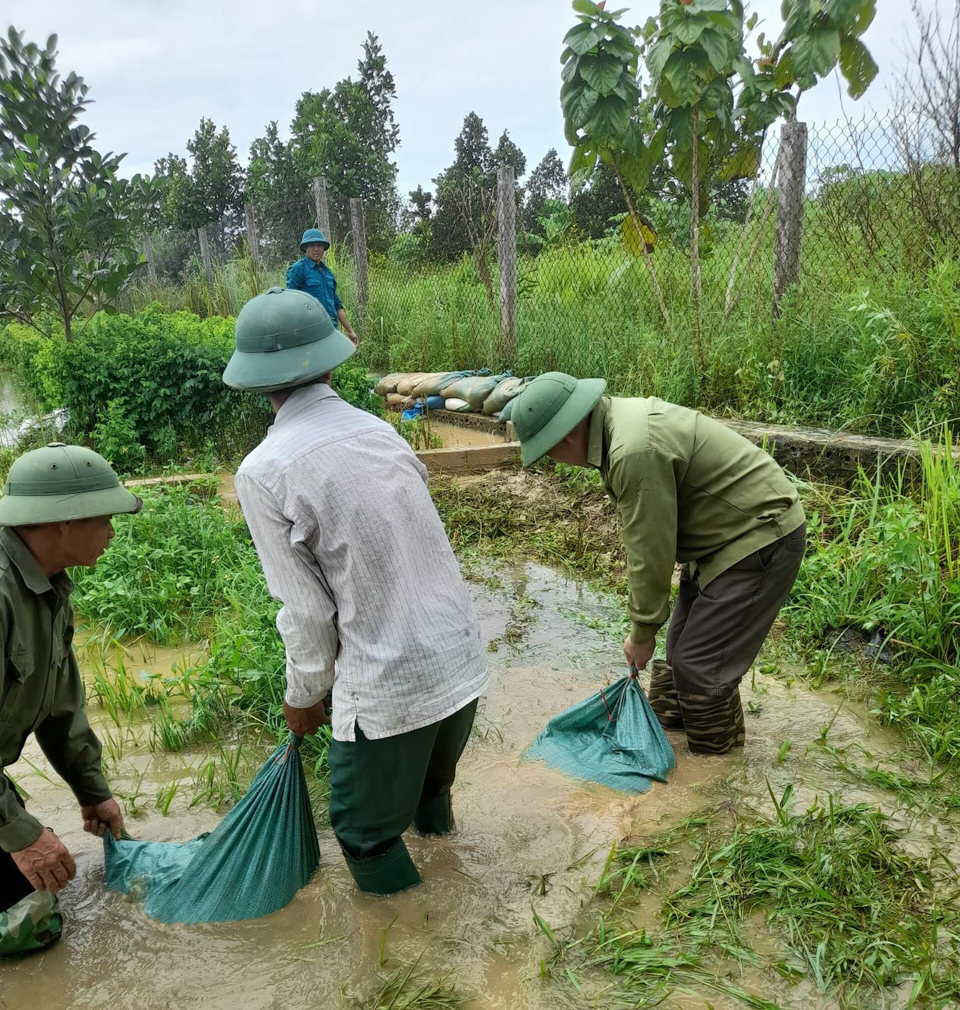 Người d&acirc;n huyện Thạch Thất đắp đập tr&aacute;nh nước tr&agrave;n những ng&agrave;y qua. Ảnh: N.M.