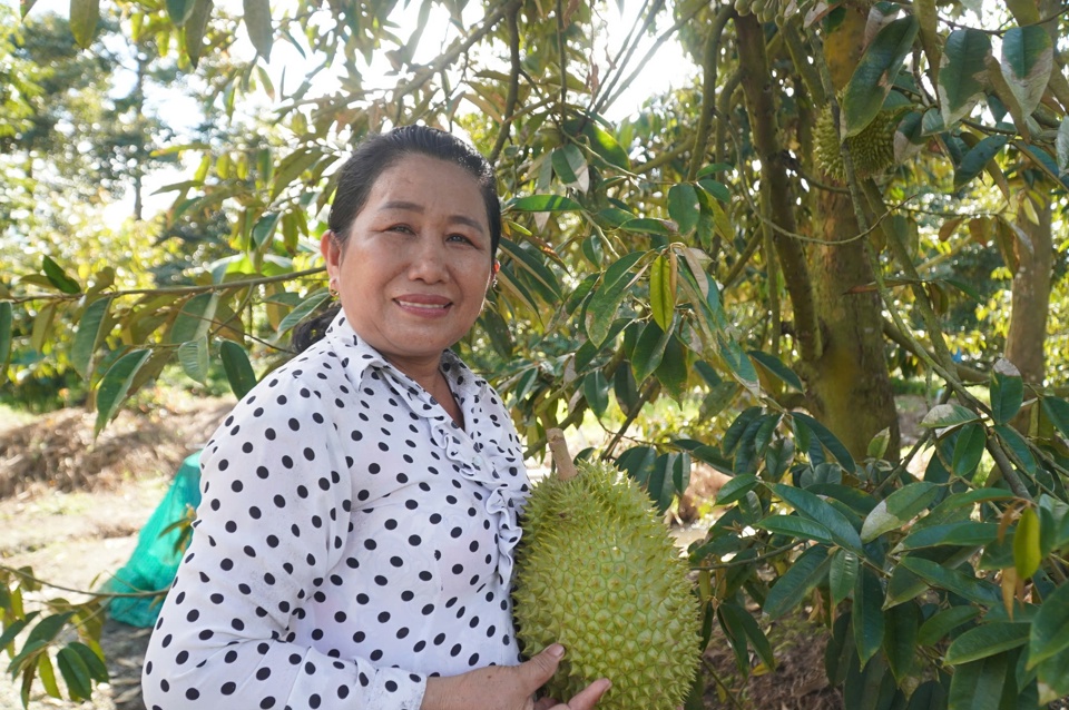 Kh&ocirc;ng cam chịu cảnh ngh&egrave;o kh&oacute;, lu&ocirc;n học hỏi v&agrave; chia sẻ phương c&aacute;ch sản xuất kinh doanh mới, c&ocirc; Thinh - người l&agrave;m n&ecirc;n thương hiệu &ldquo;Sầu ri&ecirc;ng c&ocirc; Thinh&rdquo; - truyền cảm hứng cho nhiều người d&acirc;n ở xứ dừa Bến Tre.