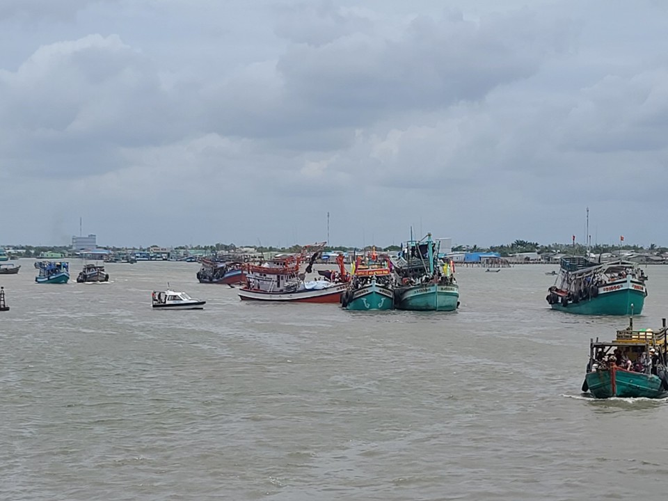 T&agrave;u c&aacute; tại cửa biển S&ocirc;ng Đốc, huyện Trần Văn Thời. C&agrave; Mau l&agrave; tỉnh quản l&yacute; rất chặt h&agrave;ng ng&agrave;n t&agrave;u c&aacute; đ&aacute;nh bắt xa bờ, cương quyết xử l&yacute; nghi&ecirc;m c&aacute;c trường hợp vi phạm IUU (Ho&agrave;ng Nam).