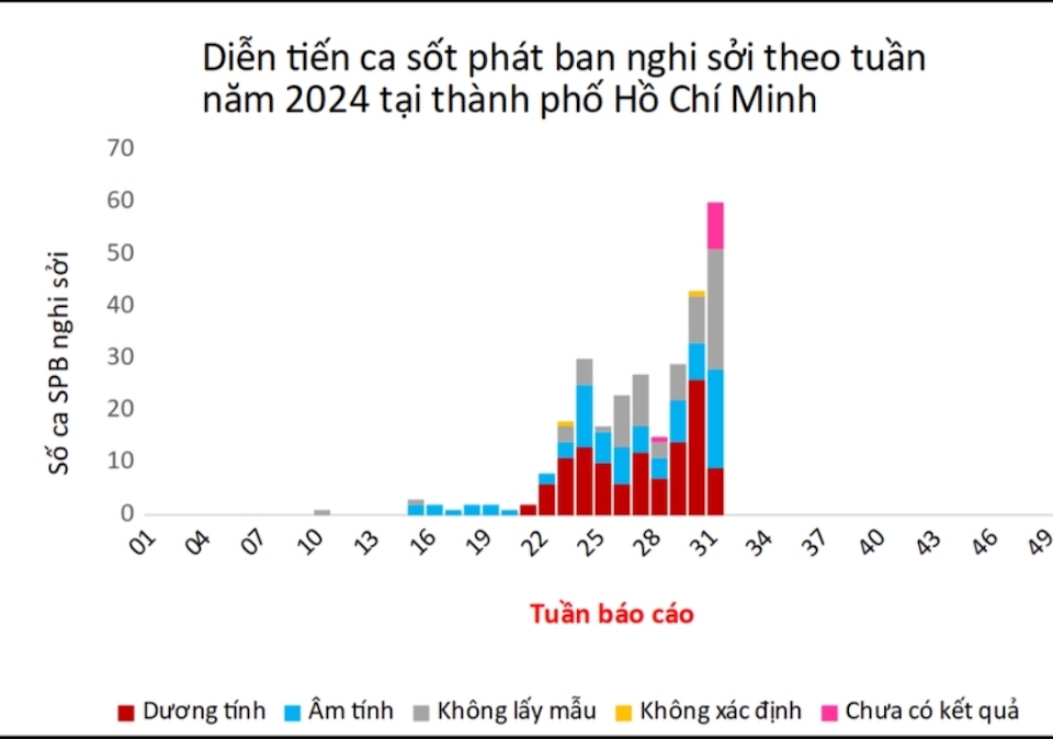 Biểu đồ thể hiện ca sốt ph&aacute;t ban nghi sởi theo tuần năm 2024 tại TP Hồ Ch&iacute; Minh (Nguồn: HCDC)