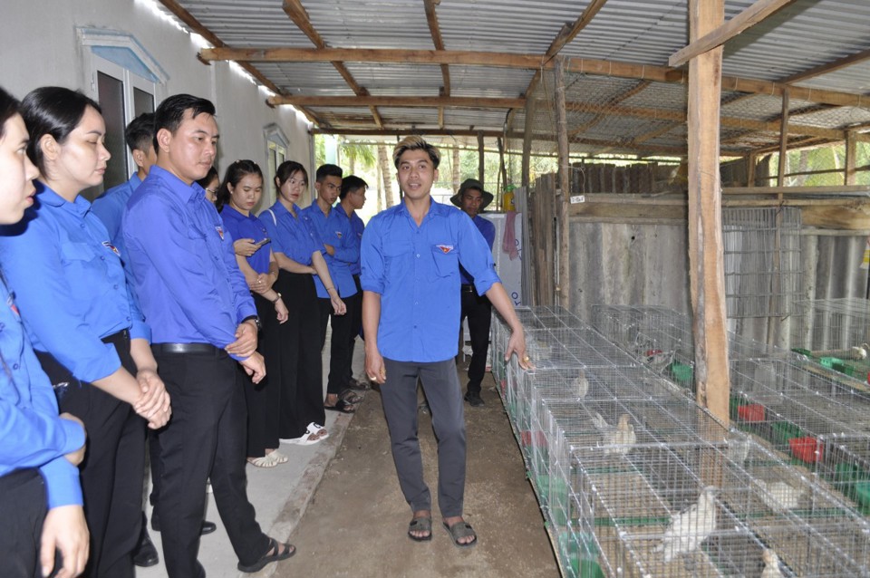 Anh V&otilde; Ho&agrave;ng Vinh th&agrave;nh c&ocirc;ng với m&ocirc; h&igrave;nh nu&ocirc;i g&agrave; Peru. Ảnh Cao Xu&acirc;n Lương