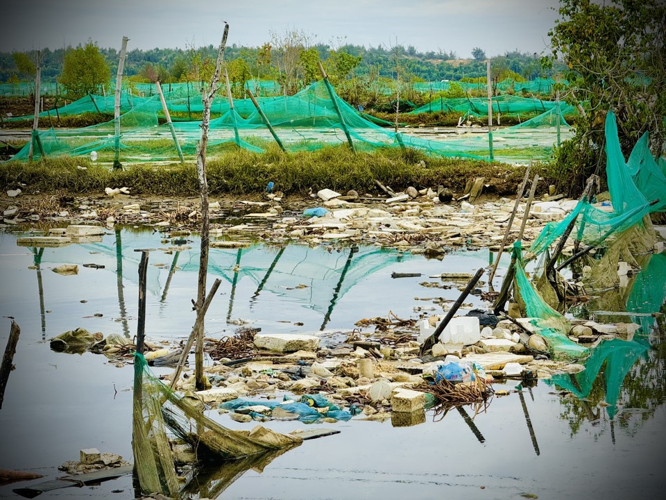 Việc r&aacute;c thải &ugrave;n ứ l&acirc;u ng&agrave;y g&acirc;y &ocirc; nhiễm nguồn nước, những hồ t&ocirc;m cũng v&igrave; vậy bị ảnh hưởng lớn.