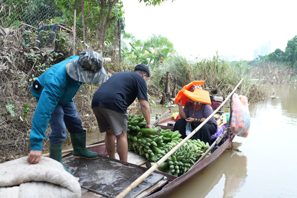 Hà Nội: Nông dân bãi giữa sông Hồng bơi thuyền chở nông sản đi tiêu thụ - Ảnh 4