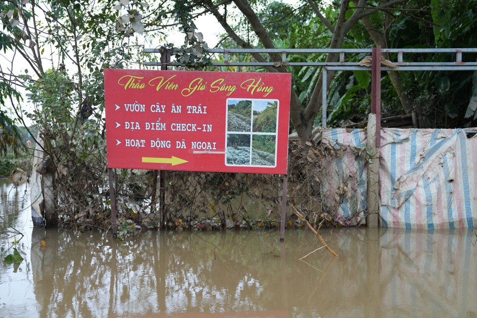 Hà Nội: Nông dân bãi giữa sông Hồng bơi thuyền chở nông sản đi tiêu thụ - Ảnh 1