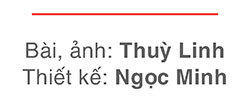 Mặt trận các cấp TP đổi mới, sáng tạo vì một kỳ Đại hội thành công - Ảnh 12