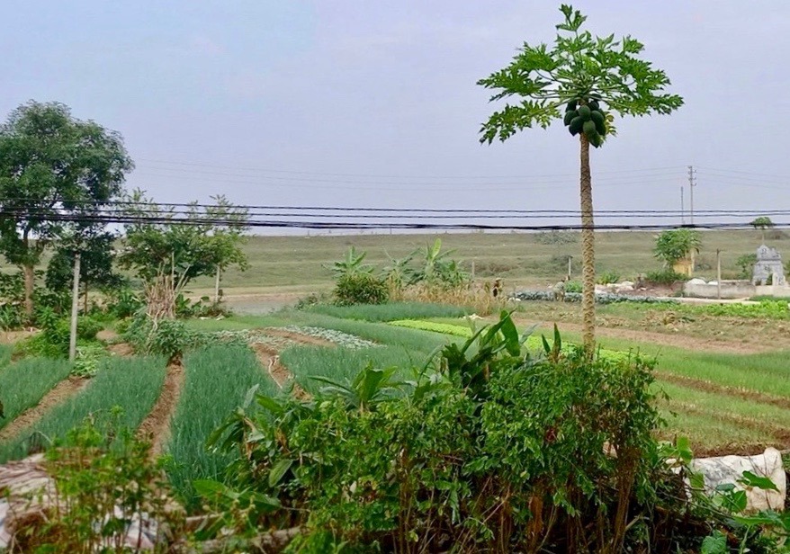 Dự &aacute;n Cụm c&ocirc;ng nghiệp Long Xuy&ecirc;n đ&atilde; ho&agrave;n th&agrave;nh c&ocirc;ng t&aacute;c giải ph&oacute;ng mặt bằng.