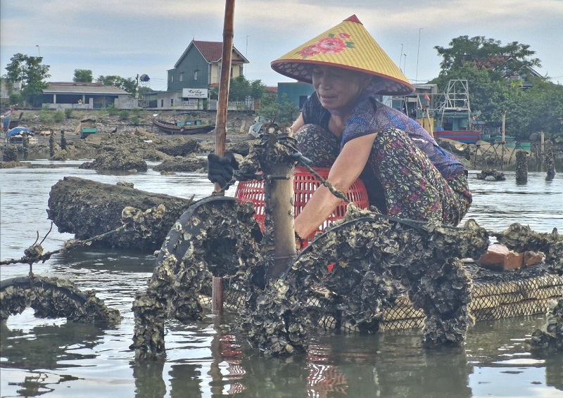 S&ocirc;ng R&aacute;c bị chiếm dụng nu&ocirc;i h&agrave;u tr&agrave;n lan, hộ &iacute;t cũng v&agrave;i s&agrave;o, c&oacute; nhiều hộ nu&ocirc;i từ 2-3ha