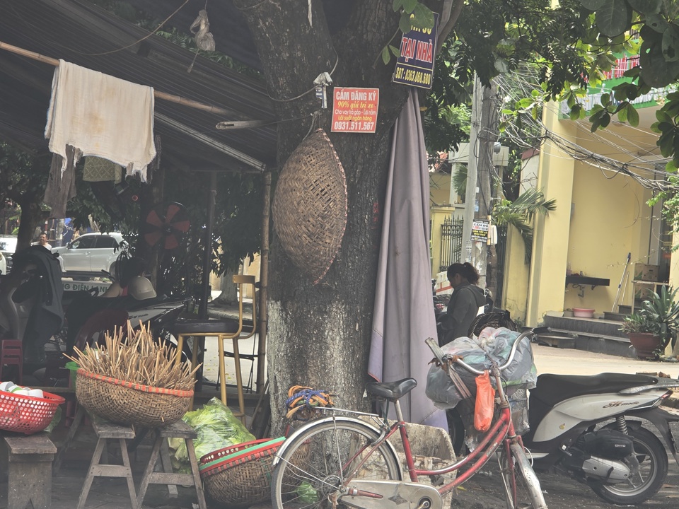 Đũa b&aacute;t, rổ r&aacute;, ghế, xe đạp, th&uacute;ng... được người b&aacute;n h&agrave;ng chất quanh gốc c&acirc;y. Ảnh: Vĩnh Qu&acirc;n